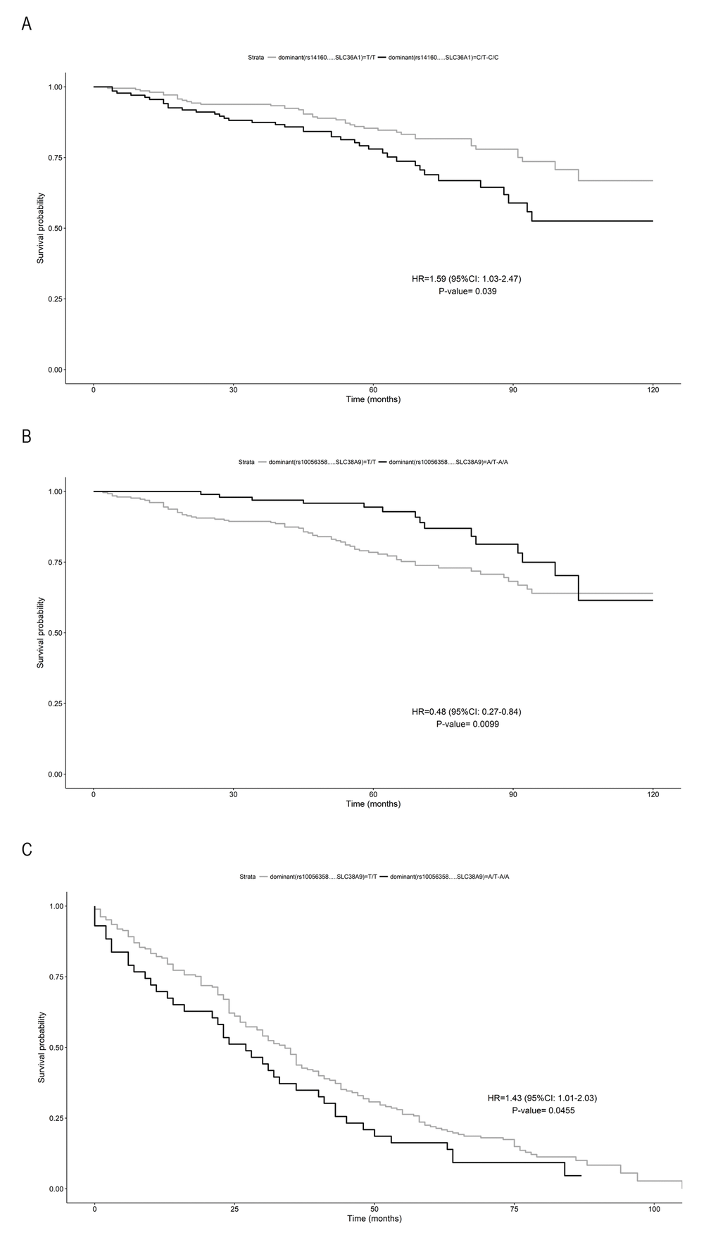 Survival function of carriers of minor allele (black) vs non carriers (grey). (A) rs14160 (SLC36A1) in subjects aged B) rs10056358 (SLC38A9) in subjects aged ≥90 years; (C) rs10056358 (SLC38A9) in subjects aged > 90 years. Time is expressed in months, where 0 is considered the time of recruitment, and each individual is followed up for survival status till death. HR value, confidence interval and p-value from Cox regression analysis are reported inside the figure.