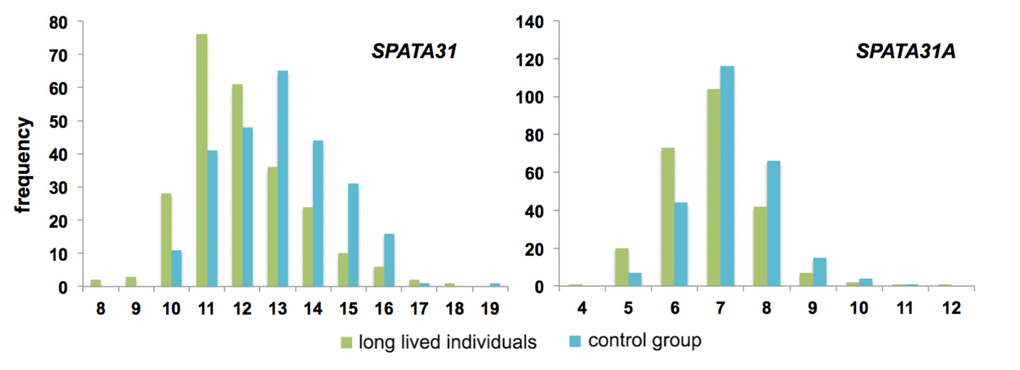 Distribution of copy number classes of SPATA31 genes between long-lived individuals (n=258) and controls (n=249). Long-lived individuals were older than 96 years and control individuals between 60-75 years at the time of sampling [28,29]. Copy number variations were determined by digital PCR using primers that amplify all possible SPATA31 copies (left) or only SPATA31A copies (right). The distributions are significantly different (both p