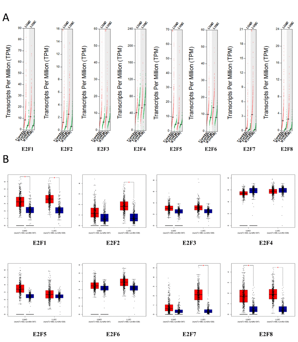 The expression of E2Fs in LC (GEPIA).