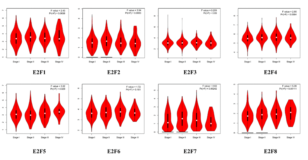 Correlation between E2Fs expression and tumor stage in LC patients (GEPIA).