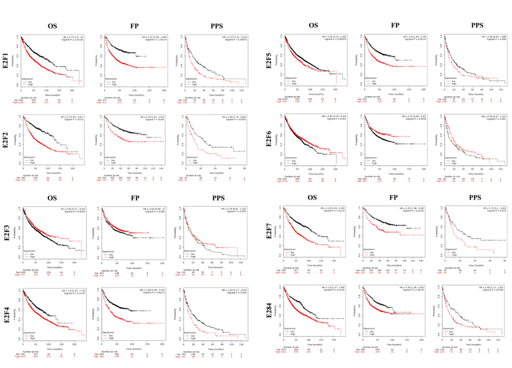 The prognostic value of mRNA level of E2F factors in LC patients (Kaplan-Meier plotter).