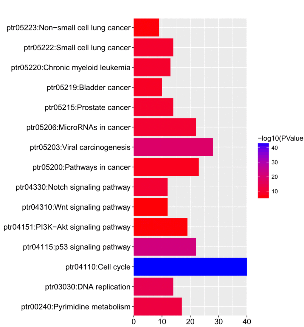 The functions of E2Fs and genes significant associated with E2Fs alterations were predicted by analysis of Kyoto Encyclopedia of Genes and Genomes (KEGG) by DAVID (Database for Annotation, Visualization, and Integrated Discovery) tools (https://david.ncifcrf.gov/summary.jsp).