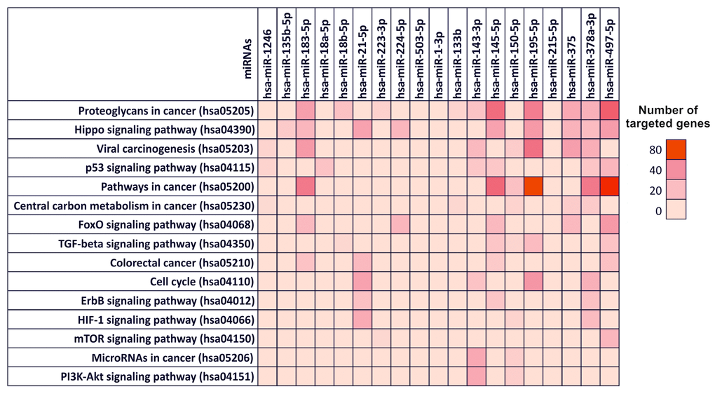 Diana-mirPath pathway analysis – Interaction between selected miRNAs and several molecular pathways involved in cancer development. Prediction pathway analysis of the interaction between individually selected miRNAs and the molecular and signaling pathways involved in CRC development. For each miRNA is indicated the number of targeted gene within a specific pathway by highlighting the corresponding box with a color scale ranging from red (80 genes targeted) to light red (0 genes targeted).