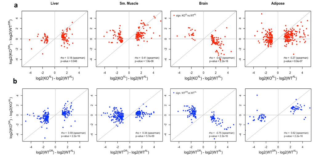 Correlation of WT and KO fed AL or DR diets. (a) The log2 fold change correlation between WT and KO fed AL or DR conditions of genes significantly differentially expressed (q value b) The log2 fold change between AL or DR conditions in WT and KO backgrounds of genes significantly differentially expressed (q value 