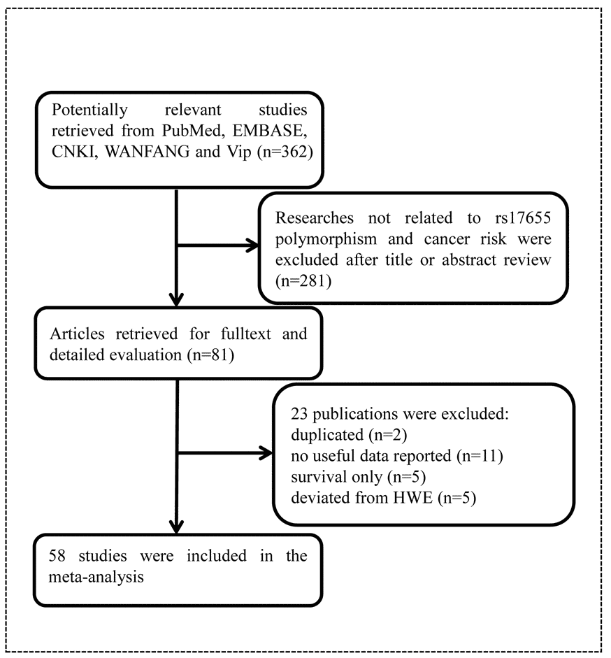 Flowchart of included publications.