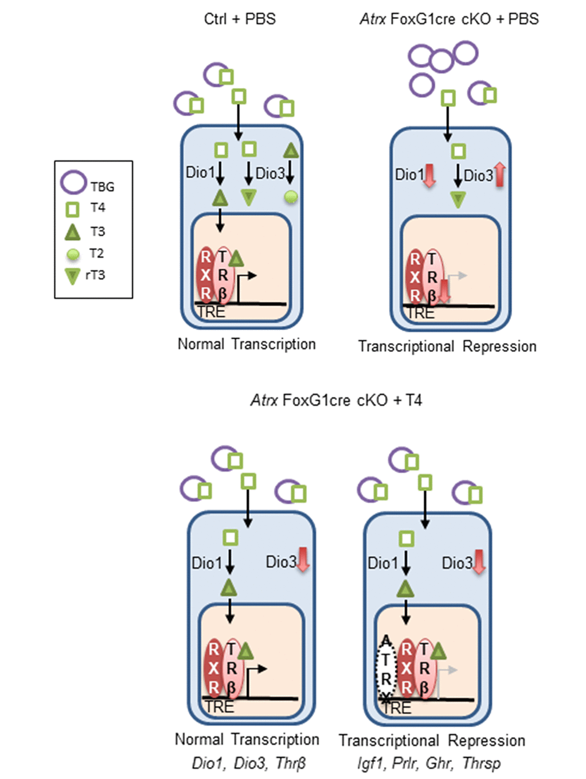 class="figure-viewer-img"