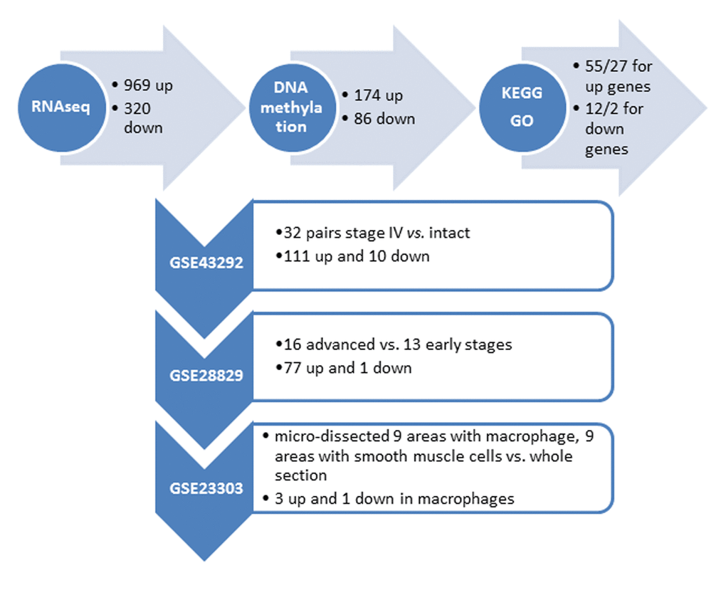 Summary of the identified genes with altered DNA methylation in the promoter regionfrom our own (top horizontal panel) and different independent datasets. (Vertical panel, GEO numbers are listed at the left side, the brief description of the dataset and the identified genes are listed at the right side).