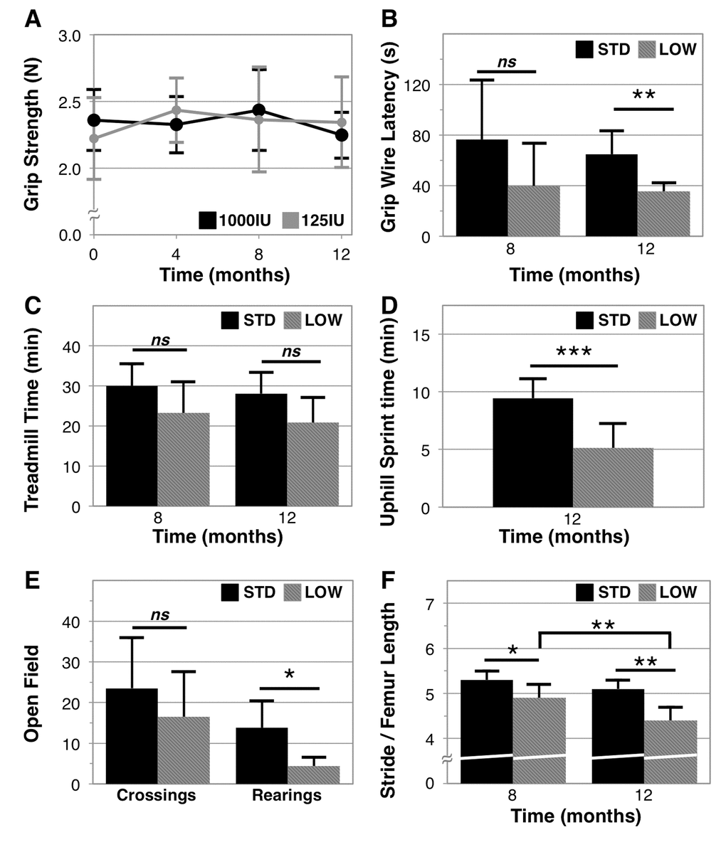 Physical performance in vitamin D sufficient and insufficient mice. Vitamin D sufficient (STD) and insufficient (LOW) mice were assessed across a range of physical performance domains that include: grip strength assessed every 4 months as the best 3 of 5 trials on a grip strength meter, n=6 (A); grip endurance as the best of two trials timed for latency to fall from a wire, n=5 (B); aerobic endurance assessed as a single trial for time before exhaustion on a mouse treadmill, n=6 (C); anaerobic endurance assessed as a single trial of increasing intensity intervals on an inclined (25º) mouse treadmill, n=6, 5 respectively (D); exploratory behavior as a count of quadrant crossings and rearings over 5 minutes in an open field arena, n=6, 5 respectively (E); and gait as assessed by measurement of stride length normalized to femur length determined using dual X-ray absorptiometry, n=5, 6 respectively (F). Statistical significance indicated by “*” p “ns” indicating non‑significance.