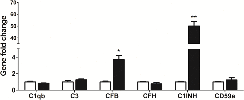 The effects of TNF-α treated-RPE cell on BMDM complement gene expression. RPE cells were treated with TNF-α for 16h. Naïve BMDMs were then co-cultured with TNF-α pre-treated RPE cells for 7h. Macrophages were isolated and processed for real-time RT-PCR analysis of complement genes. Mean ± SEM, n =3; *, P