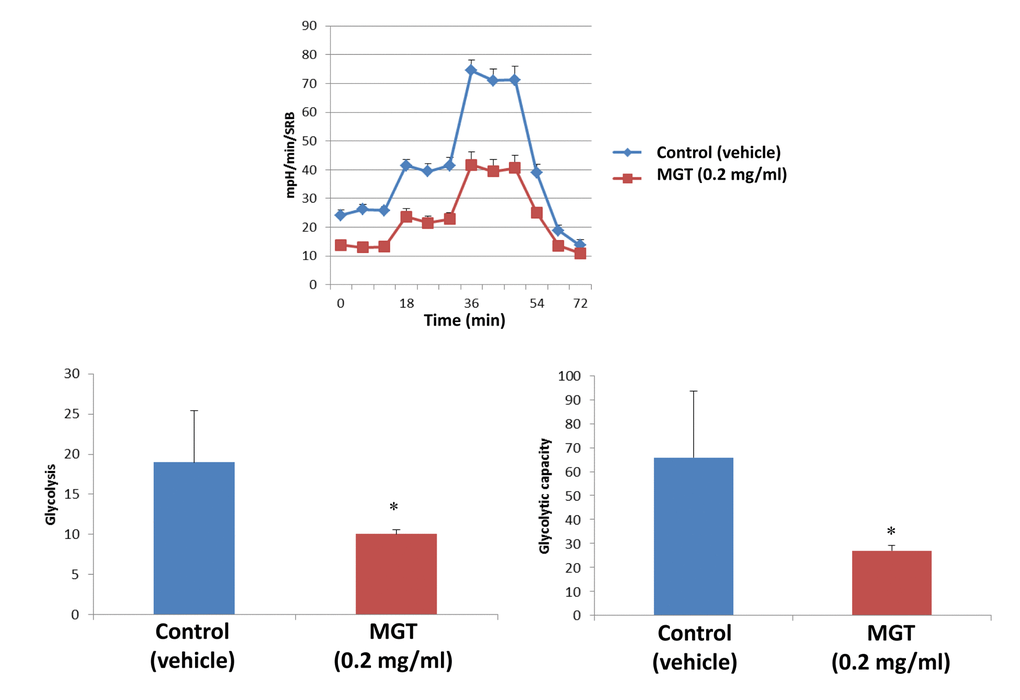 MGT treatment inhibits glycolysis of MCF7 cells. MCF7 cells were seeded and treated with MGT as described above. Extracellular consumption rate (ECAR) was assessed by Seahorse XF Analyser. Top panel: representative trace; bottom panel: bar graph with OCR quantification. Importantly, the treatment significantly reduced the glycolysis and the glycolytic capacity as compared to control cells. Experiments were performed in triplicate, six repeats for each replicate. Bar graphs are shown as the mean ± SEM, t-test, two-tailed test. *p 