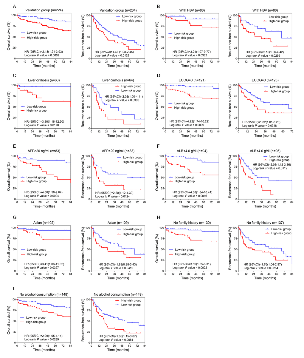 Confirmation and development of the lncRNA risk score system using the TCGA cohort. (A) Kaplan-Meier analysis for OS (Left) and RFS (Right) in the validation dataset. (B, C, D, E, F, G, H and I) Kaplan-Meier analysis for OS (Left) and RFS (Right) in subgroups stratified by HBV infection (B), liver cirrhosis (C), ECOG (=0) (D), AFP (>20 ng/ml) (E), ALB (F), Asian (G), family history (no) (H), alcohol consumption (no) (I).