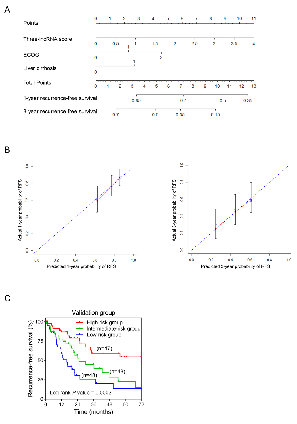 Establishment of the RFS nomogram for sHCC patients using the TCGA dataset. (A) Nomogram for predicting RFS of sHCC. There are three components in this nomogram: the three-lncRNA score, ECOG and liver cirrhosis. Each of them generates points according to the line drawn upward. And the total points of the three components of an individual patient lie on “Total Points” axis which corresponds to the probability of 1-year and 3-year RFS rate plotted on the two axes below. (B) Calibration plots of the nomogram for predicting RFS rate at 1 year (Left) and 3 years (Right). The predicted and the actual probabilities of RFS were plotted on the x- and y-axis, respectively. (C) Kaplan-Meier curves of three risk subgroups stratified by the total points the nomogram gives.