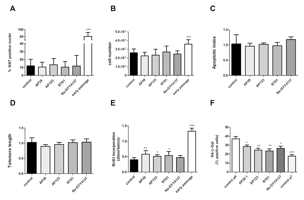 Cell proliferation rate is not affected by H2S donor treatment. (A) Proliferation index was assessed for treated cells as assessed by Ki67 immunofluorescence (>400 nuclei counted per sample). (B) Cell counts following 24h treatment with Na-GYY4137 at 100 µg/ml, AP39, AP123, RT01 at 10 ng/ml. (C) Apoptotic index in senescent cells treated with inhibitors as determined by TUNEL assay. Data are derived from duplicate testing of 3 biological replicates. (D) Telomere length was assessed by qPCR in three biological and 3 technical replicates. (E) BrdU incorporation into cellular DNA. Relative BrdU incorporation was assessed in 3 biological replicates and was calculated by normalization of data to values corresponding to untreated (control) cells and are expressed as % BrdU incorporation. (F) Effect of 24h treatment with Na-GYY4137 at 100 µg/ml, AP39, AP123, RT01 at 10 ng/ml on accumulation of senescent cells over 2 passages in early passage cells (PD = 44). Mean+- SD of three independent experiment is shown. Statistical significance is indicated by *** p