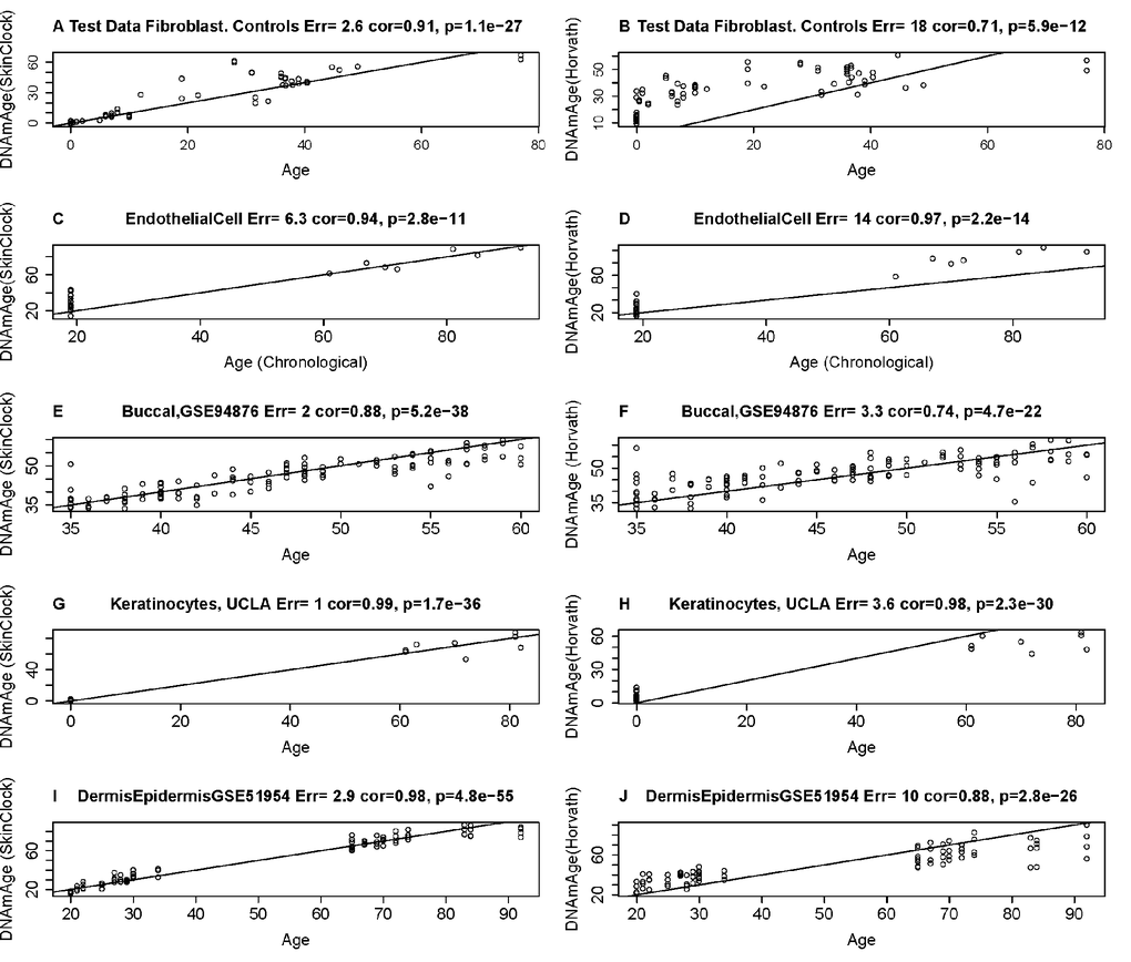 Age estimation accuracy of the skin & blood clock in fibroblasts, keratinocytes, and microvascular endothelial cells. The left and right panels relate chronological age (x-axis) to DNAm Age estimates (y-axis) from the skin & blood clock (A,C,E,G,I) and the pan-tissue clock (Horvath 2013) (B,D,F,H,J) [6], respectively. Each row corresponds to a different tissue/cell type. DNA methylation data from fibroblasts (A,B), microvascular endothelial cells C,D), buccal epithelial cells (E,F), keratinocytes (G,H), and whole skin (dermis/epidermis) samples (I,J). Each panel reports the Pearson correlation coefficient and the error (defined as median absolute deviation between DNAm age and chronological age).