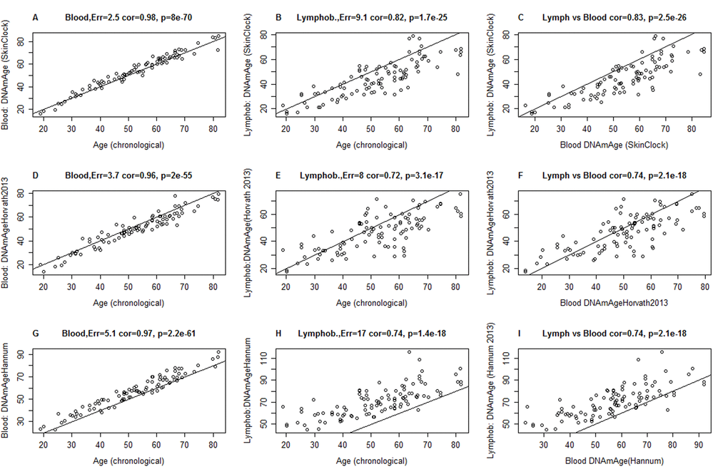 Comparison of DNAm age estimators in whole blood and lymphoblastoid cell line data. The rows correspond to 3 different age estimators: (A,B,C) the novel skin & blood clock (D,E,F), the pan-tissue clock (Horvath 2013) [6], (G,H,I) Hannum clock 9]. Panels in the first and second column report the accuracy in blood (A,D,C) and lymphoblastoid cell lines (B,E,H), respectively. Panels in the third column (C,F,I) report the relationship between DNAm age estimates in blood (x-axis) versus those in lymphoblastoid cell lines (y-axis). Panels report Pearson correlation coefficient and the estimation error, which is defined as median absolute deviation between the DNAm age estimate and chronological age. The lymphoblastoid cell lines were generated from the same individuals for whom whole blood was assessed, which facilitated the comparison in the third column.