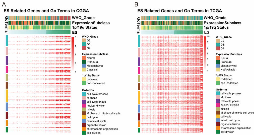 Identification of IDH-mutant by a prognostic signature to gene expression profiling Figure f3 | Aging