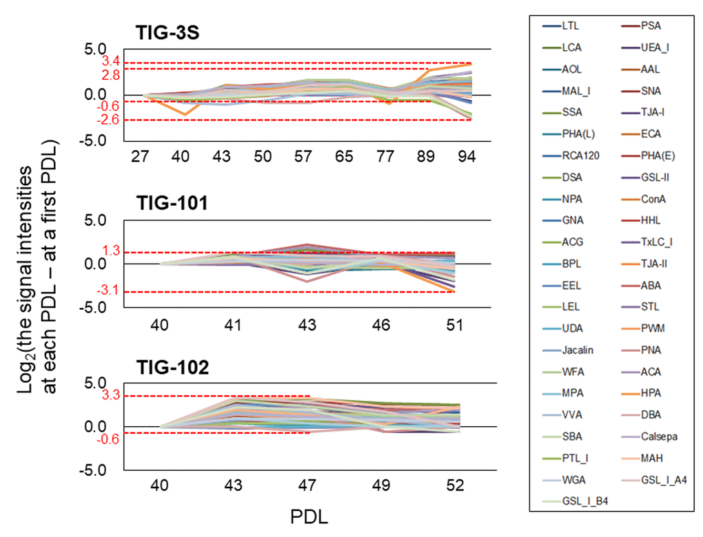 Altered ratios of each lectin in intracellular glycans with cellular senescence. Line graphs show differences between lectin signal intensities at various PDLs and those at the first PDL in TIG-3S, TIG-101, and TIG-102. Changes in ratio were calculated based on average signal intensity at each PDL. Highest and the lowest values of the largest change in ratio are shown for each cell line. Each lectin is shown as a different color in a box.