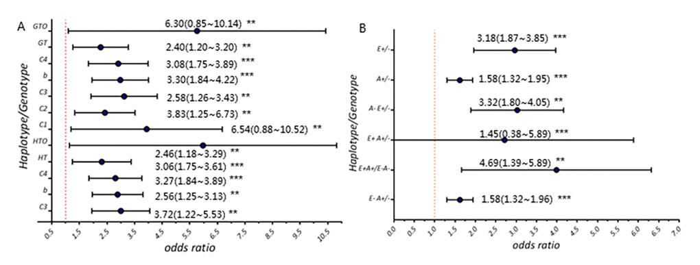 Risk of ESR1 rs9340803 in AD and MCI cases. (A) Allele frequency and genotype frequency of ESR1 rs9340803. C1: cohort 1 (200 AD case vs. 200 controls); C2: cohort 2 (580 AD cases vs. 1054 controls); C3: combined cohort (854 AD cases vs. 1254 controls); C4: CI cases vs. controls; HT: haplotype; HOT: haplotype in individuals aged 70 and more; GT: genotype; GOT: genotype in individuals aged 70 and more. (B) Comparisons between CI and CN individuals on rs9340803 minor allele distribution. E+: ESR1 rs9340803 G allele carrier; E-: ESR1 rs9340803 A allele carrier; A+: APOE ε4 carrier; A-: non-APOE ε4 carrier.