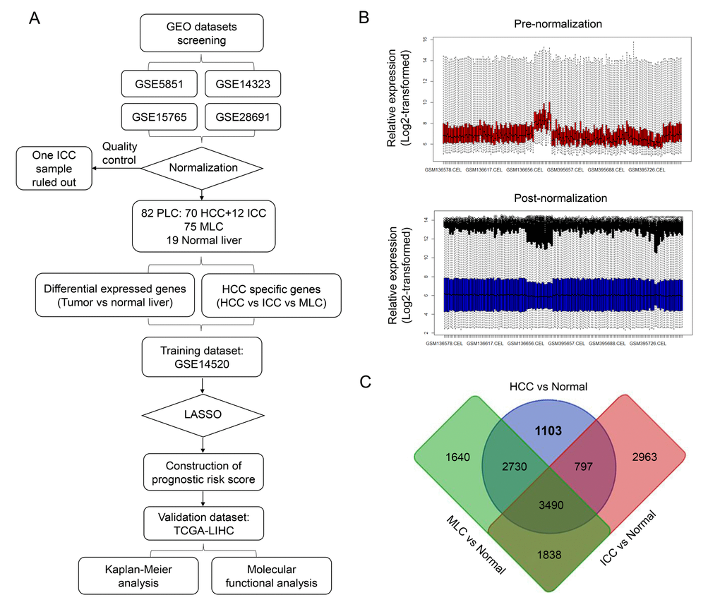 Identification of HCC-specific gene list. (A) Overview of the overall design and analytic procedure of the study. (B) Relative expression of all the included sample before (Upper & Red) and after (Lower & blue) RMA normalization. All the expression value was transformed by “log2()” algorism. (C) Venn diagram among three lists of dysregulated genes between three different subtypes of liver cancer (HCC, ICC and MLC) and normal liver. 1103 HCC-specific genes, 2963 ICC-specific genes and 1640 MLC-specific genes were generated through Venn selection.