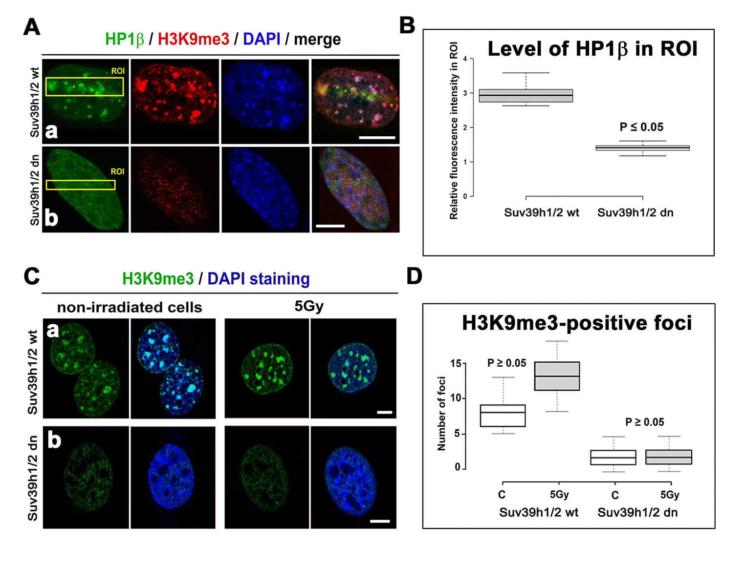 H3K9me3 and H4K20me3 represent the epigenetic landscape for 53BP1