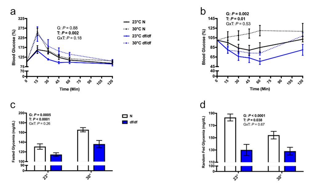 Increased eT perturbed glucose homeostasis in both normal and dwarf mice. (a) Glucose tolerance test, (b) insulin tolerance test, (c) fasted blood glucose, and (d) fed blood glucose levels (n = 5-9). N = normal, df/df = dwarf. The results of the Two-way ANOVA are reported as G (effect of genotype), T (effect of temperature), and GxT (interaction of genotype and temperature). Significant effects (P 