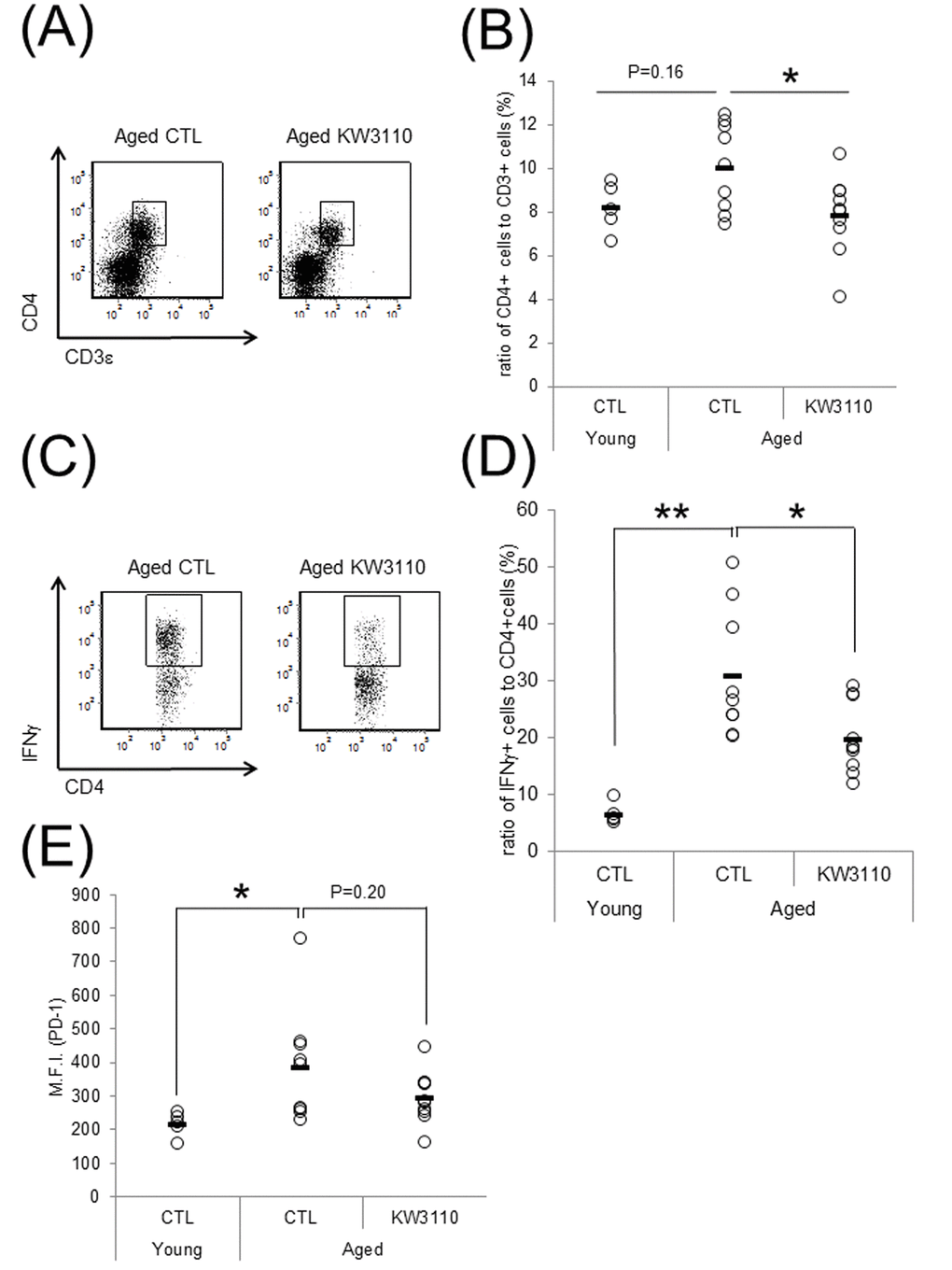 Intake of Lactobacillus paracasei KW3110 suppressed the inflammatory CD4-positive T cell expansion in the lamina propia of the small intestine (SI-LP). (A and B) To detect inflammatory cytokine-producing cells, SI-LP cells from young mice (3-months-old) and aged mice (17-months-old) were cultured under stimulation with Leukocyte Activation Cocktail plus BD GolgiPlug, and analyzed by flow cytometry. (A) Representative data of CD4-positive cells from aged mice fed a diet with (KW3110) or without (CTL) L. paracasei KW3110. (B) The ratio of CD3ε- and CD4-positive to live cells. (C) Representative data of CD4- and interferon gamma (IFN-γ)-positive cells from aged mice fed a diet with or without L. paracasei KW3110. (D) The ratio of CD4- and IFN-γ-positive cells to CD4-positive cells. (E) The expressions of programmed cell death protein 1 (PD-1) in CD3ε- and CD4-positive cells were analyzed by flow cytometry. M.F.I. indicates mean fluorescence intensity.