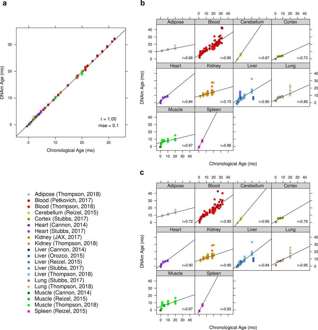 Accuracy of ridge regression epigenetic age predictions. DNA methylation age (y-axis) versus chronological age (x-axis) for all mouse samples. (a) Performance of ridge regression clock based on all 192K CpGs in all training samples. The training set estimates of the accuracy are overly optimistic and should be ignored. (b) Results by tissue type of cross-validated predictions obtained by iteratively withholding one “batch” (tissue x publication). For the batch cross-validation of this clock, the global Pearson correlation between predicted and chronological age was 0.79 (p c) Scatter plots by tissue type based on DNAm age estimates made with an iterative leave-one-sample-out cross-validation. The correlation between predicted and chronologic age was 0.85 (p 