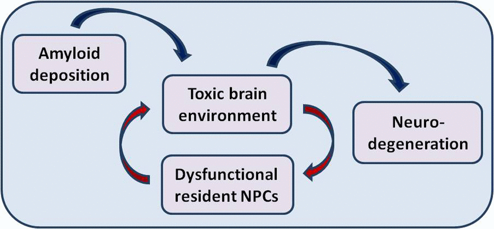 Environmental-induced functional failure of resident brain precursor cells may promote neurodegeneration in Alzheimer's disease.
