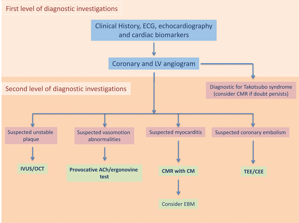 Diagnostic flow-chart for patients presenting with MINOCA. CEE: contrast enhanced echocardiography; CM: contrast medium; CMR: cardiac magnetic resonance; EMB: endomyocardial biopsy; IVUS: Intravascular ultrasound; OCT: optical choerence tomography; TEE: transesophageal echocardiography.