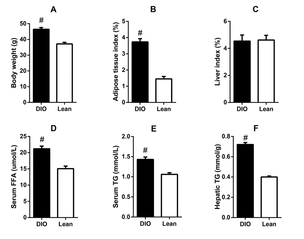 Lipid metabolic abnormalities in the DIO mice. (A) body weight, (B) adipose tissue index, (C) serum FFA level, (D) serum TG level, (E) liver index, and (F) liver TG content. Values are expressed as the mean ± SD (n=6); “#” indicates significant differences between the lean and DIO mice (p