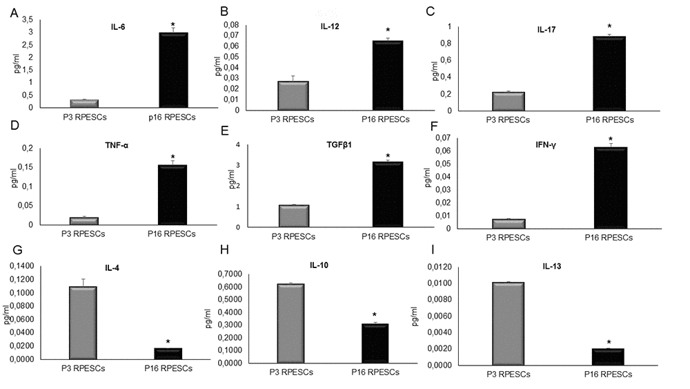 SASP induction in senescent RPESCs. Young (P3) and senescent (P16) RPESCs were maintained in culture for 48 h. The supernatant was analyzed for IL-6 (A), IL-12 (B), IL-17 (C), TNF-α (D), TGFβ1 (E), INF-γ (F), IL-4 (G), IL-10 (H), and IL-13 (I), by ELISA. Data are mean ± SD of 3 independent experiments. *P = from 0.021 to 0.041.
