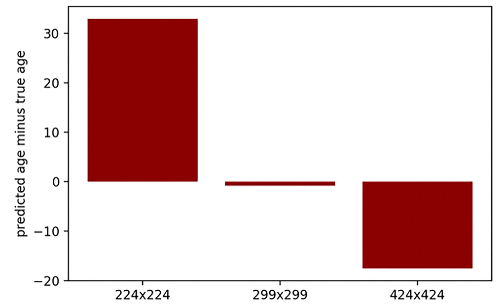 Prediction error (predicted age minus true age) for the same 25 images with various resolutions. Images were passed through the developed neural network, with kernels trained for 299 x 299 pixels resolution.