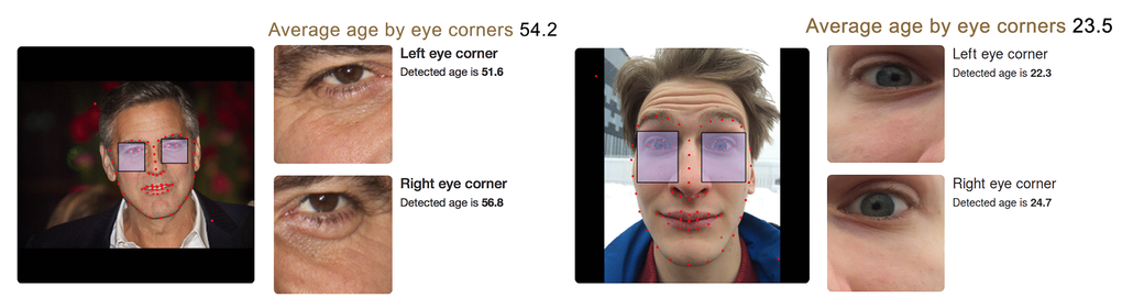 Algorithm performance on images obtained with professional cameras and mobile devices. (left) Algorithm performance on a high resolution photo of a celebrity (George Clooney). Chronological age of the person for the time when the picture was taken was 53 years, predicted age by two eye corner areas is 54.2 years. Editorial credit: Denis Makarenko / Shutterstock.com. (right) Algorithm performance on photo obtained with frontal camera of mobile device (selfie). Chronological age of the person is 22, predicted age by two eye corner areas is 23.5. The skin of eye area is smooth enough and young age is recognized despite the strong face expression.