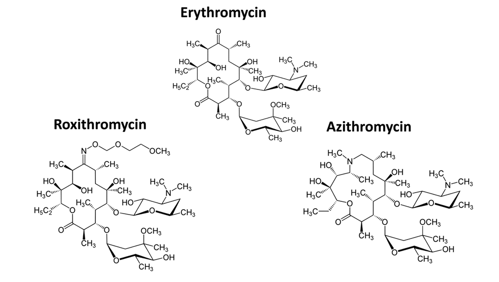 Chemical structures of Erythromycin and related compounds. Note that Erythromycin, Azithromycin and Roxithromycin all have very similar chemical structures, but differ mainly in their side groups. All three compounds are macrolide antibiotics and consist of a large core macrocyclic lactone ring, with two deoxy-sugars attached to it.