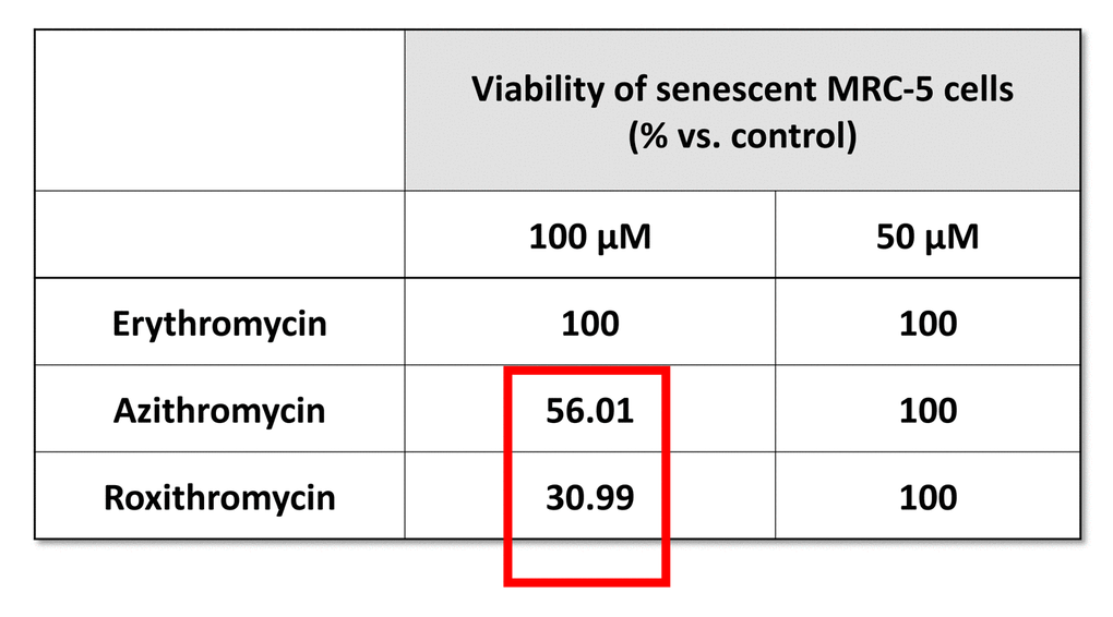 Table 1. The effects of macrolide antibiotics on BrdU-treated senescent MRC-5 fibroblasts. This table briefly summarizes the biological effects of three antibiotics, namely Erythromycin, Azithromycin and Roxithromycin, on cell viability. While Erythromycin was completely ineffective, Roxithromycin and Azithromycin selectively eliminated large numbers of senescent cells at 100 µM, but had no effect at a lower dose (50 µM). Azithromycin was found to be the most selective compound, as it eliminated senescent cells, without affecting control cells.