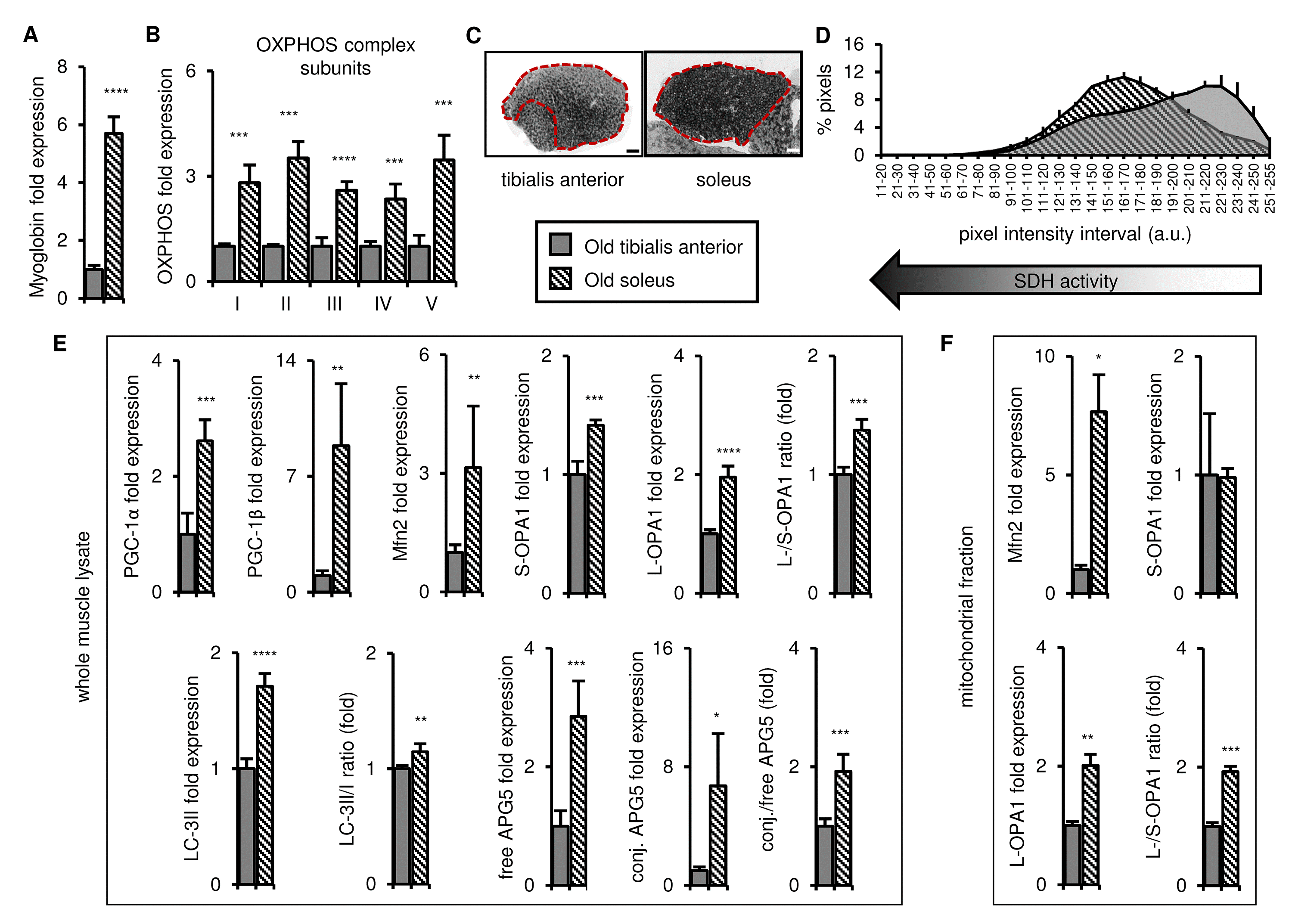 class="figure-viewer-img"