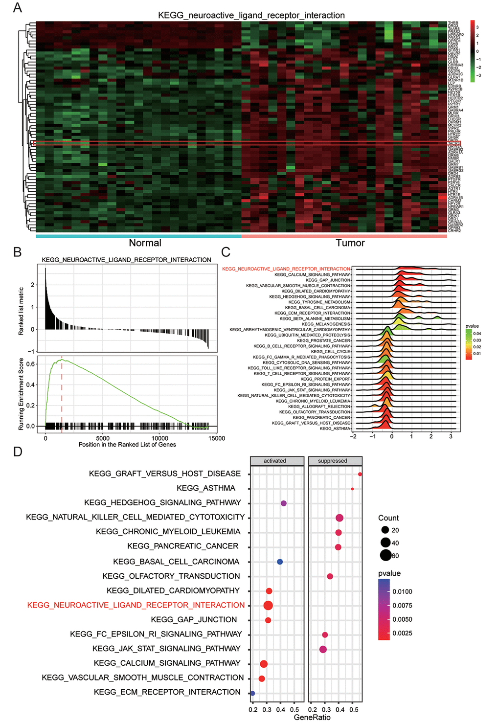 Neuroactive ligand-receptor interaction was remarkably up-regulated. (A) Genes involving neuroactive ligand-receptor interaction, for example TACR3, were generally upregulated. (B) Neuroactive ligand-receptor interaction enriched by KEGG was up-regulated. (C) Joyplot of GSEA showed that neuroactive ligand-receptor interaction was upregulated in EC. (D) Dotplot of GSEA which displayed the activation and inactivation of top 16 significantly enriched signaling pathways showed that neuroactive ligand-receptor interaction was activated in EC.