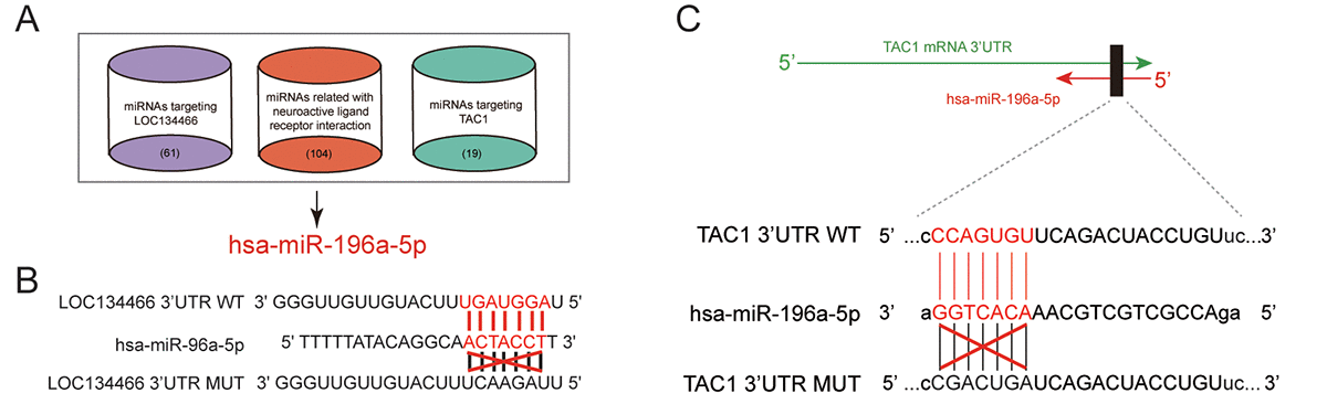 class="figure-viewer-img"