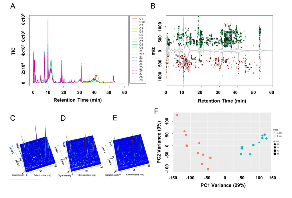 Metabolic profiles of granulosa cell (GC) media within or without ZEA-treatment. Utilizing the UPLC-QTOF detection method, total ion current diagrams vs. retention time of each group of GC media are shown (A), with Z1-Z10 mean 10 µM ZEA groups 1-10 and C1-C10 mean control groups 1-10 (0 µM ZEA). (B) Significantly different metabolites between the culture media with or without 10 µM ZEA treatment were marked in the cloud plot of mass to charge ratio (m/z) vs. retention time. Red point mean the ion of certain m/z showed decrease in ZEA groups compare with control groups. And green point in return, with the size of the point reflect the significance. Three-dimensional peak diagram of retention time, signal intensity, and m/z in blank control media (C), GC media without ZEA (D) or with ZEA treatment (E). (F) Principle component analysis (PCA) of the metabolic profiles among each sample between GC media without (red point) or with (cyan point) ZEA treatment.