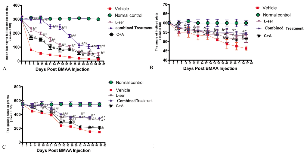 Motor functional evaluation revealed neurological impairments as early as 2 weeks after L-BMAA injection, and the C16+Ang-1 and L-serine treatments alleviated the severity of disabilities, with the combined treatment further improving motor function. (A) Time on the rod in the rotarod test. (B) Angle at which the rats fell in the inclined plane test. (C) Average grip strength of forepaws. & p#p