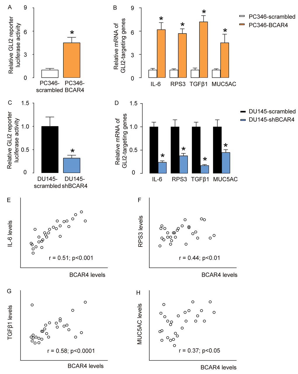 BCAR4 activates GLI2-signaling pathways in PC cells. (A) GLI2 reporter luciferase assay on scrambled or BCAR4 transfected PC346 cells. (B) RT-qPCR on GLI2 downstream genes IL-6, RPS3, TGFβ1 and MUC5AC in scrambled or BCAR4 transfected PC346 cells. (C) GLI2 reporter luciferase assay on scrambled or shBCAR4 transfected DU145 cells. (D) RT-qPCR on GLI2 downstream genes IL-6, RPS3, TGFβ1 and MUC5AC in scrambled or shBCAR4 transfected DU145 cells. (E-H) Correlation between BCAR4 levels and IL-6 (E), RPS3 (F), TGFβ1 (G), and MUC5AC (H) in the 40 CRPC specimens. *p