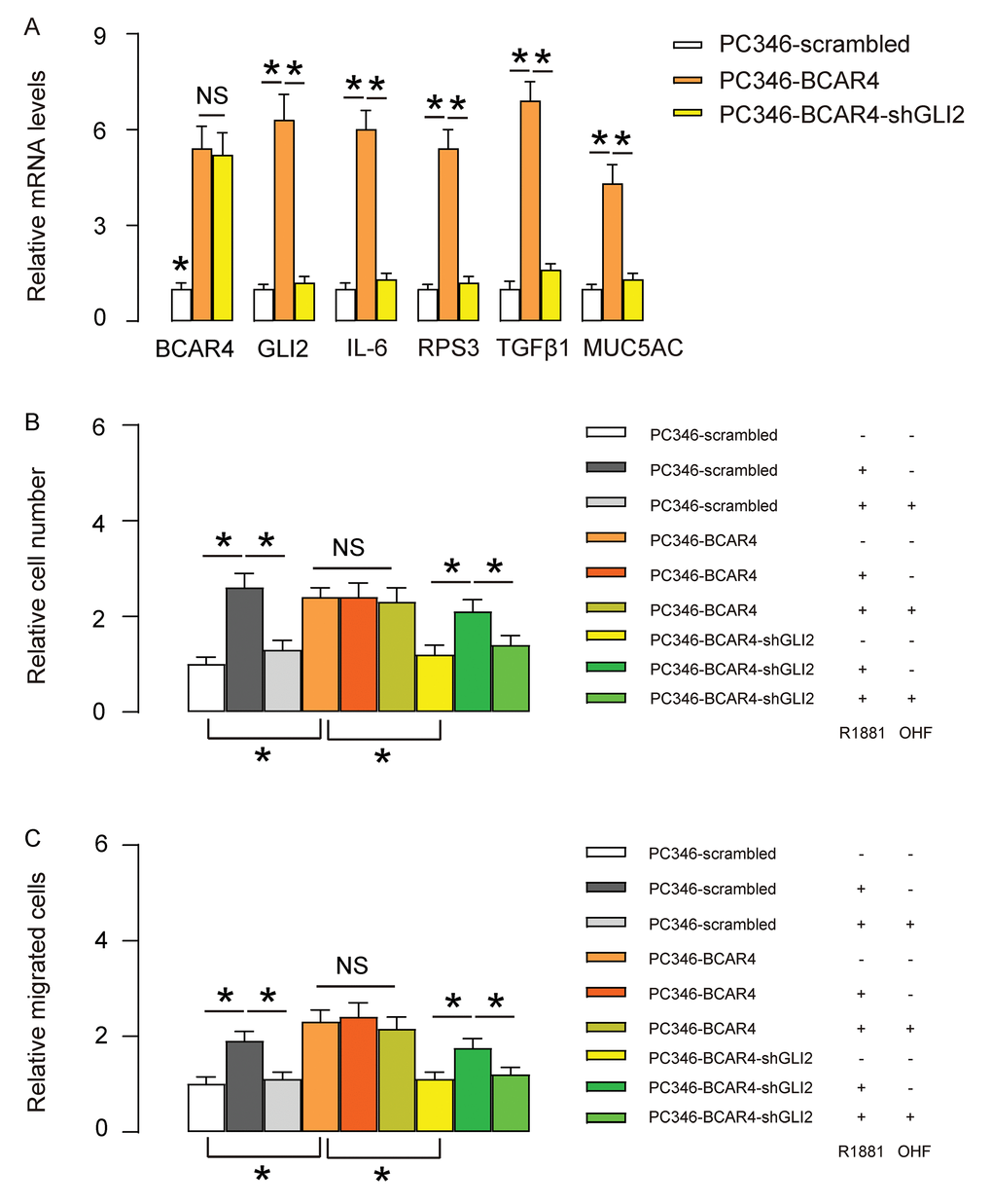 Depletion of GLI2 abolishes the effects of BCAR4 on growth and migration of PC346 cells. (A) We used shGLI2 to deplete GLI2 in BCAR4-transfected PC346 cells and did RT-qPCR for BCAR4 and GLI2. Transfection with shGLI2 significantly decreased GLI2 and GLI2 downstream genes IL-6, RPS3, TGFβ1 and MUC5AC, but did not alter BCAR4 levels. (B-C) These cells (shGLI2 and BCAR4-transfected cells, BCAR4-transfected cells and control scrambled-transfected cells) were treated with null, R1881, with/without OHF. (B) Cell growth was examined in an CCK-8 assay (C) Cell migration potential was assessed in a transwell assay. *p