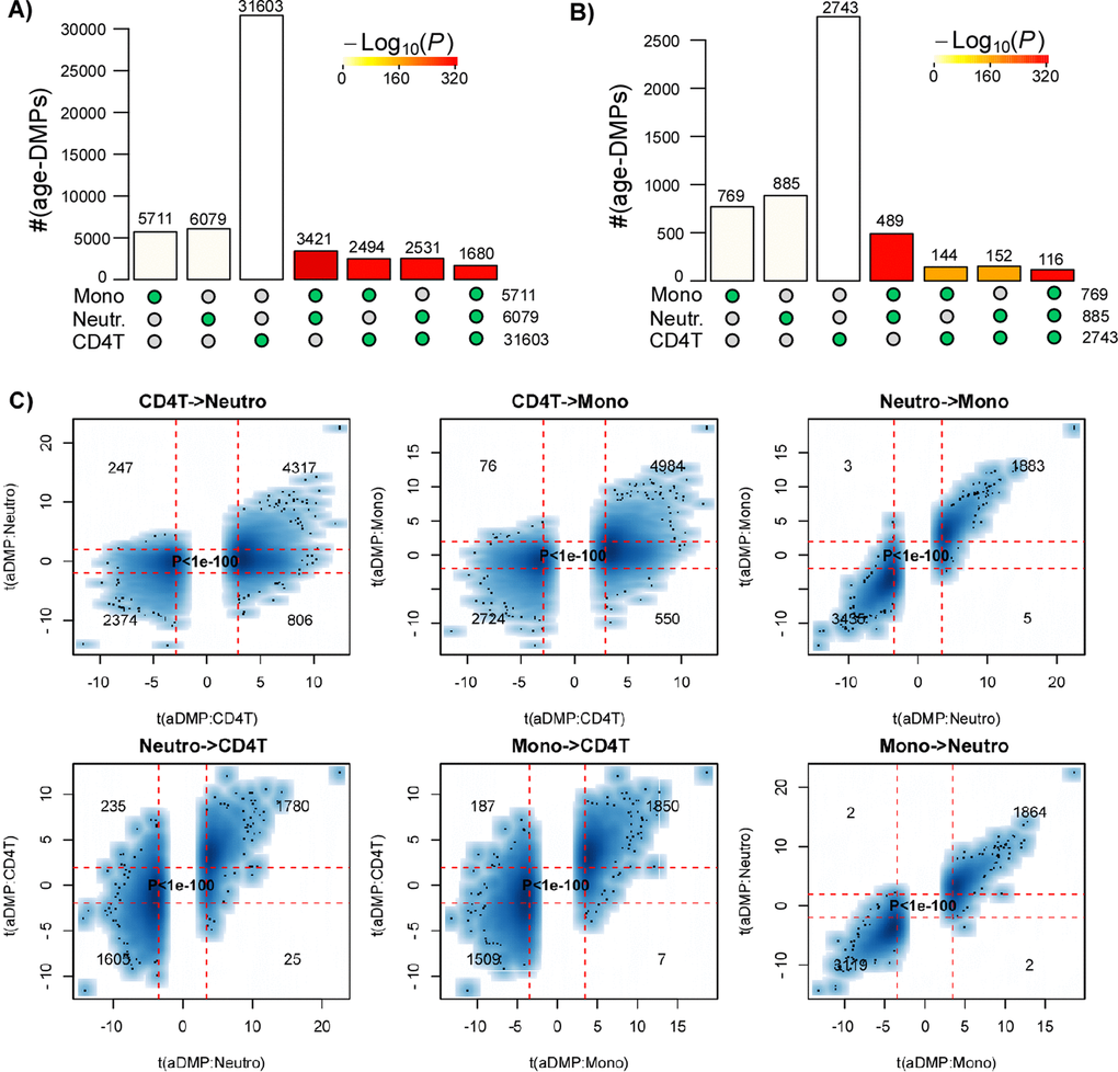 Most age-DMPs are shared between blood cell subtypes: validation in BLUEPRINT. (A) Landscape overlap diagram for age-DMPs defined using FDRB) As (A), but now using a Bonferroni corrected PC) Smoothed scatterplots of t-statistics of age-DMPs called in a given blood cell subtype vs. the corresponding t-statistics in another cell subtype, as indicated for the 3 pairwise comparisons. In each panel, we only depict the 100 most outlier data points, provide the number of probes in each significant quadrant and the P-value assessing agreement is from a one-tailed Fisher-test. The vertical red lines indicate the line of FDR