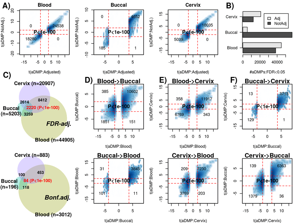Most age-DMPs are shared between tissue-types. (A) Smoothed scatterplots of age-DMP (aDMP) t-statistics obtained after adjustment for cell-type heterogeneity (x-axis) against the corresponding t-statistics without adjustment (y-axis), for 3 different tissue-types (Blood, Buccal and Cervix) separately. In each scatterplot, we only depict the 100 most outlier data points, provide the number of probes in each significant quadrant and the P-value is from a one-tailed Fisher-test. The vertical red lines indicate the line of FDRB) Barplot of the number of aDMPs (FDRC) Venn-diagrams representing the number of overlapping aDMPs between the 3 tissue-types using an FDRD) Smoothed scatterplots of aDMP t-statistics (adjusted for cell-type heterogeneity) in blood (x-axis) against their corresponding t-statistics in buccal (y-axis) for top panel, with lower panel depicting the reverse analysis, as indicated. (E-F) As (D), but for the combinations blood-cervix and buccal-cervix, respectively.