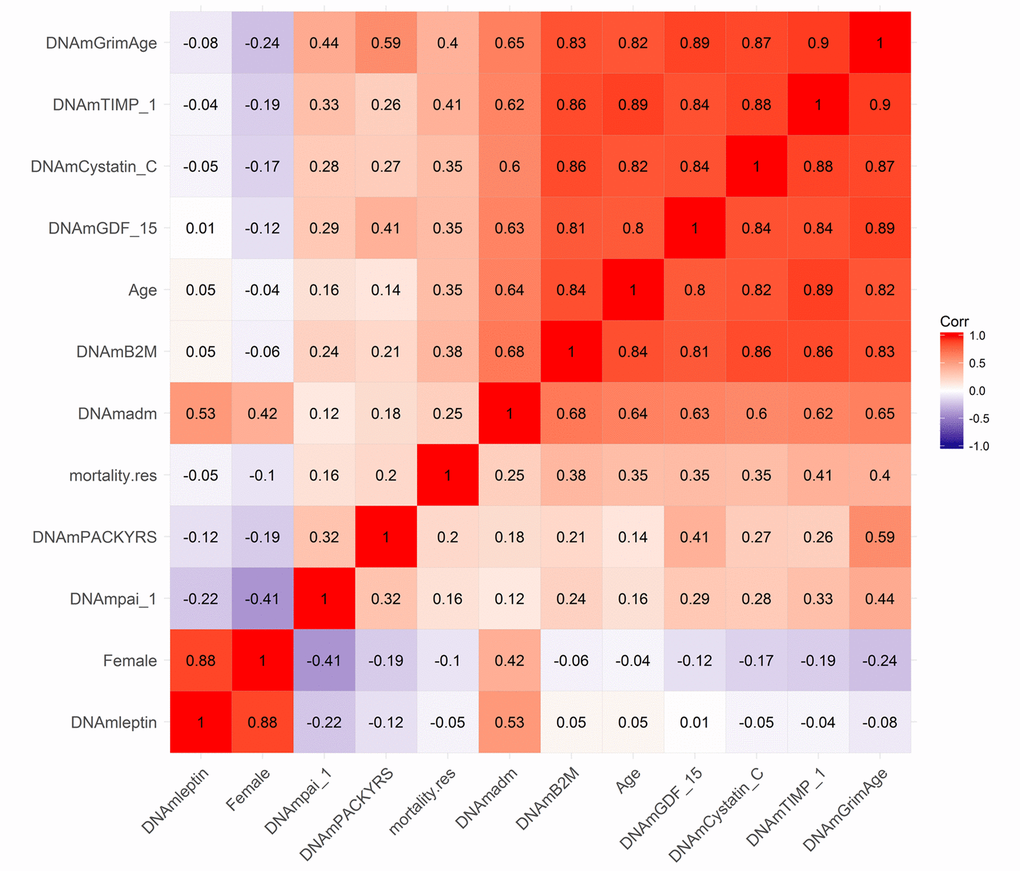Heat map of pairwise correlations of DNAm based biomarkers. The heat map color-codes the pairwise Pearson correlations of select variables (surrounding the definition of DNAm GrimAge) in the test data from the Framingham Heart Study (N=625). DNAm GrimAge is defined as a linear combination of chronological age (Age), sex (Female takes on the value 1 for females and 0 otherwise), and eight DNAm-based surrogate markers for smoking pack-years (DNAm PACKYRS), adrenomedullin levels (DNAm ADM), beta-2 microglobulin (DNAm B2M), cystatin C (DNAm Cystatin C), growth differentiation factor 15 (DNAm GDF-15), leptin (DNAm Leptin), plasminogen activation inhibitor 1 (DNAm PAI-1), issue inhibitor metalloproteinase 1 (DNAm TIMP-1). The figure also includes an estimator of mortality risk, mortality.res, which can be interpreted as a measure of "excess" mortality risk compared to the baseline risk in the test data. Formally, mortality.res is defined as the deviance residual from a Cox regression model for time-to-death due to all-cause mortality. The rows and columns of the Figure are sorted according to a hierarchical clustering tree. The shades of color (blue, white, and red) visualize correlation values from -1 to 1. Each square reports a Pearson correlation coefficient.