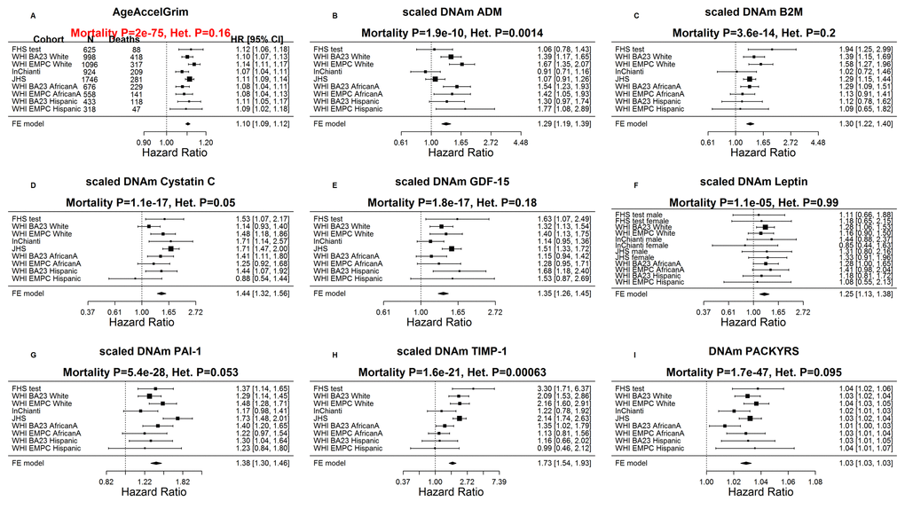 Meta analysis forest plots for predicting time-to-death due to all-cause mortality. Each panel reports a meta-analysis forest plot for combining hazard ratios predicting time-to-death based on a DNAm-based biomarker (reported in the figure heading) across different strata formed by racial group within cohort. (A) Results for AgeAccelGrim. Each row reports a hazard ratio (for time-to-death) and a 95% confidence interval resulting from a Cox regression model in each of 9 strata (defined by cohort and racial groups). Results for (age-adjusted) DNAm-based surrogate markers of (B) adrenomedullin (ADM), (C) beta-2 microglobulin (B2M), (D) cystatin C (Cystatin C), (E) growth differentiation factor 15 (GDF-15), (F) leptin, (G) plasminogen activation inhibitor 1 (PAI-1), (H) tissue inhibitor metalloproteinase 1 (TIMP-1) and (I) smoking pack-years (PACKYRS). The sub-title of each panel reports the meta-analysis p-value and a p-value for a test of heterogeneity Cochran Q test (Het.). (A) Each hazard ratio (HR) corresponds to a one-year increase in AgeAccelGrim. (B-H) Each hazard ratio corresponds to an increase in one-standard deviation. (I) Hazard ratios correspond to a 1 year increase in pack-years. The most significant meta-analysis P value (here AgeAccelGrim) is marked in red. A non-significant Cochran Q test p-value is desirable because it indicates that the hazard ratios do not differ significantly across the strata. For example, the hazard ratios associated with AgeAccelGrim exhibit insignificant heterogeneity across the strata (Cochran Q test PI2=0.16).