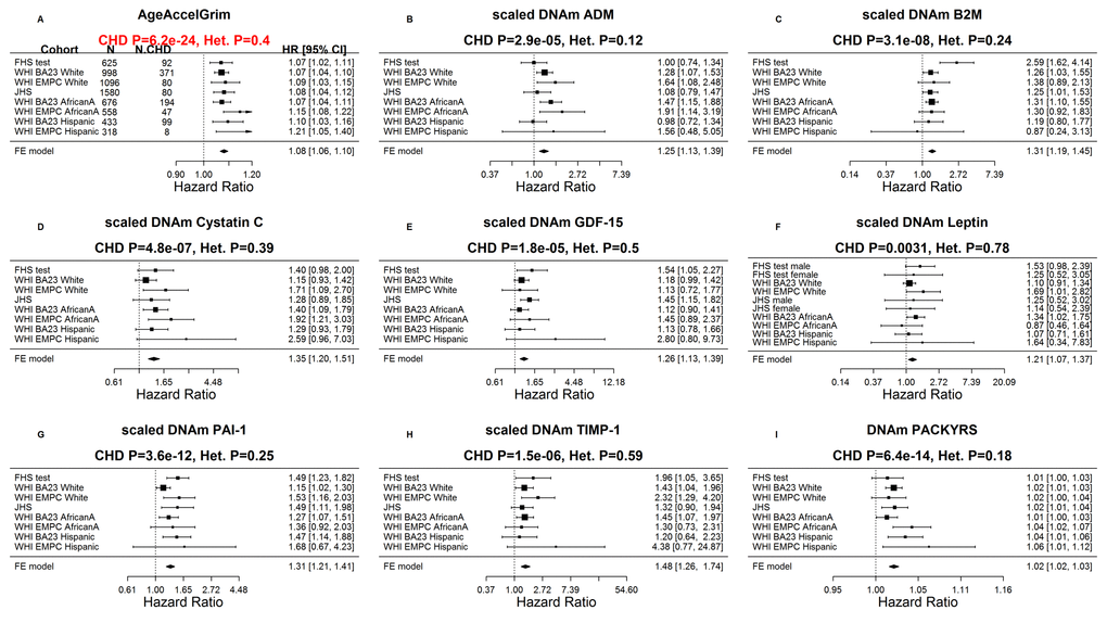 Meta analysis forest plots for predicting time-to-coronary heart disease. Each panel reports a meta-analysis forest plot for combining hazard ratios predicting time to CHD and the DNAm-based biomarker (reported in the figure heading) across different strata formed by racial groups within cohorts. (A) Results for AgeAccelGrim. Each row reports a hazard ratio (for time-to-CHD) and a 95% confidence interval resulting from a Cox regression model in each of 9 strata (defined by cohort and racial groups). Results for (age adjusted) DNAm-based surrogate markers of (B) adrenomedullin (ADM), (C) beta-2 microglobulin (B2M), (D) cystatin C (Cystatin C), (E) growth differentiation factor 15 (GDF-15), (F) leptin, (G) plasminogen activation inhibitor 1 (PAI-1), (H) tissue inhibitor metalloproteinase 1 (TIMP-1) and (I) smoking pack-years (PACKYRS). The sub-title of each panel reports the meta-analysis p-value and a p-value for a test of heterogeneity Cochran Q test (Het.). (A) Each hazard ratio (HR) corresponds to a one-year increase in AgeAccelGrim. (B-H) Each hazard ratio corresponds to an increase in one-standard deviation. (I) Hazard ratios correspond to a one unit increased in DNAm pack-years. The most significant meta-analysis P value (here AgeAccelGrim) is marked in red.