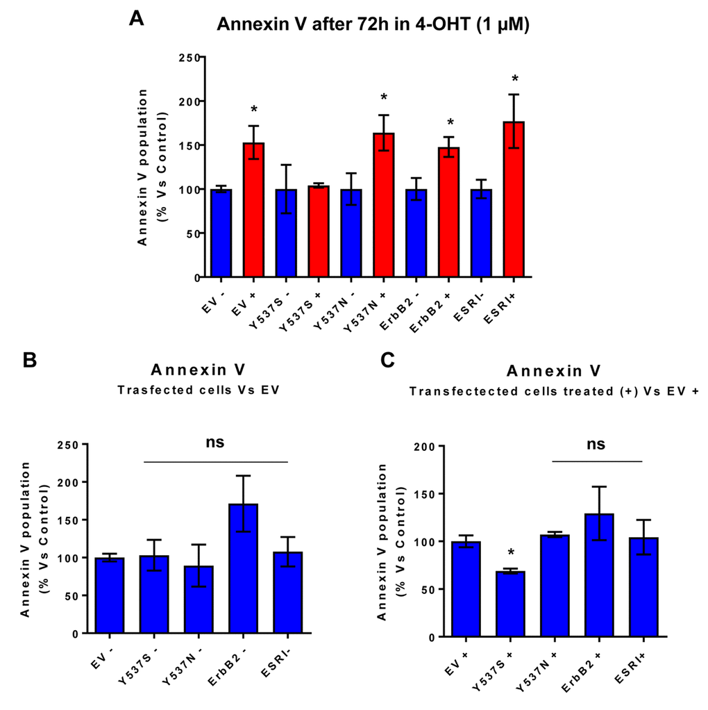 MCF7-Y537S cells are resistant to the pro-apoptotic effects of 4-OHT. Briefly, the transduced MCF7 cell lines were all plated in 6-well plates. On the next day, the cells were treated with 4-OHT (1 µM) for 72 hours. MCF7-EV cells were processed in parallel, as a negative control. Bar-graphs were used to summarize the overall results. Note that annexin V levels were increased in all transfected cell lines; however, MCF7-Y537S cells were specifically resistant to the pro-apoptotic effects of 4-OHT. * pPanel A) Treated (RED) vs. Untreated (BLUE); (Panel B) Untreated; (Panel C) Treated with 4-OHT.