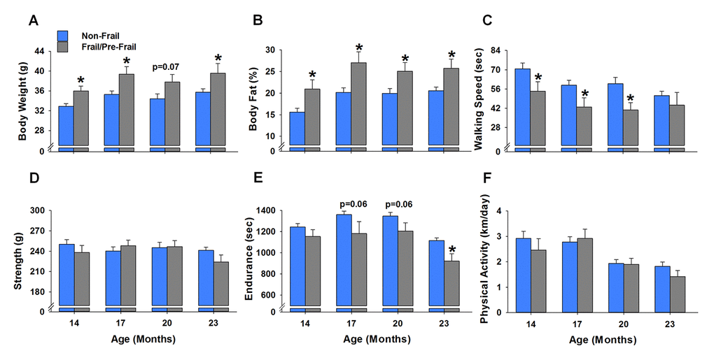 Early age differences between frail/pre-frail and non-frail mice. Mice were identified as frail/pre-frail or non-frail based on the cut-off values of each criterion determined at 23 months of age. (A-F) summarize the performance differences in these mice at ages of 14, 17, 20 and 23 months. Values are presented as mean ± SEM. * indicates p