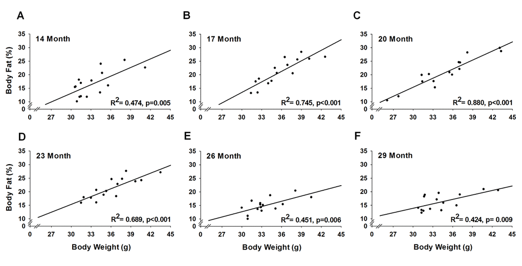 Relationship of body weight and body fat % across the lifespan. For each testing period, 15 mice were analyzed to test the relationship between body weight and body fat % using a simple linear regression.